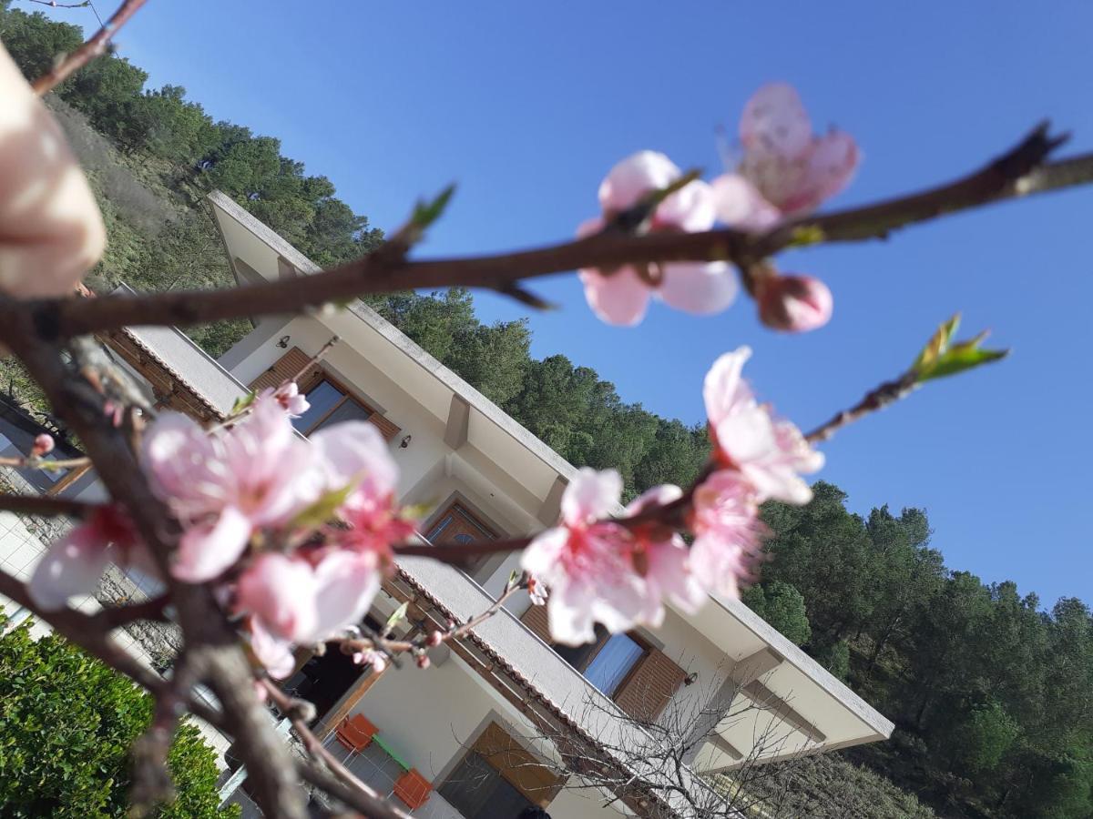 Kanushi House Gjirokastra Kültér fotó